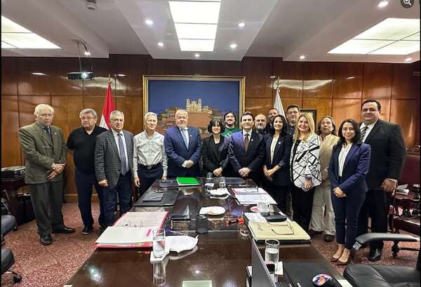 IPS le da luz verde al Seguro Social del Artista que permitirá acceso a cobertura médica - Nacionales - ABC Color