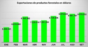 Exportaciones forestales llegan a niveles récord de USD 73 millones