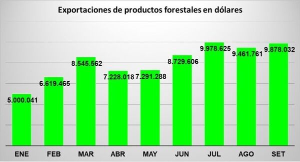 Exportaciones forestales llegan a niveles récord de USD 73 millones