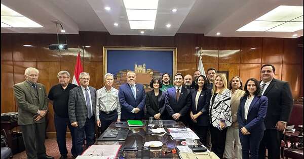 La Nación / Seguro Social para artistas: el IPS amplía su protección a trabajadores culturales