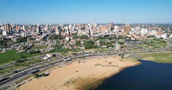 Diario HOY | EBY invita a jornada de plantación de árboles nativos en la Costanera