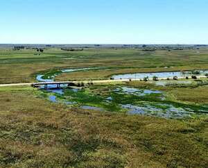 Proponen declarar reserva natural al arroyo Piraguazú para proteger los humedales de Laureles - Nacionales - ABC Color