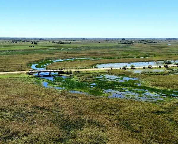 Proponen declarar reserva natural al arroyo Piraguazú para proteger los humedales de Laureles - Nacionales - ABC Color