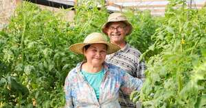 La Nación / El campo y su gente impulsan el crecimiento del PIB nacional al 5,3 %, destacan desde el MAG