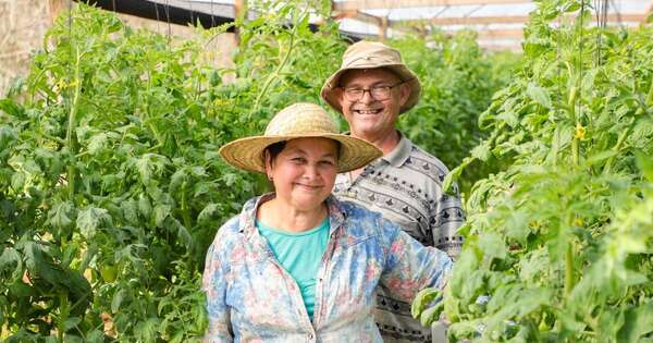 La Nación / El campo y su gente impulsan el crecimiento del PIB nacional al 5,3 %, destacan desde el MAG
