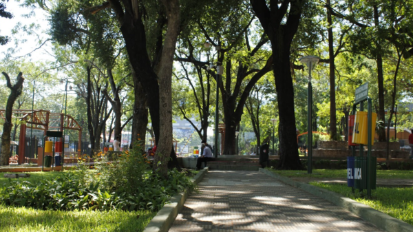 El valor del verde: Asunción enfrenta el reto de transformar plazas y parques en una inversión de salud y bienestar