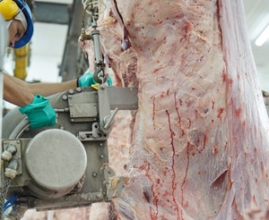 Paraguay retoma las faenas kosher con destino a Israel y reactiva la industria cárnica