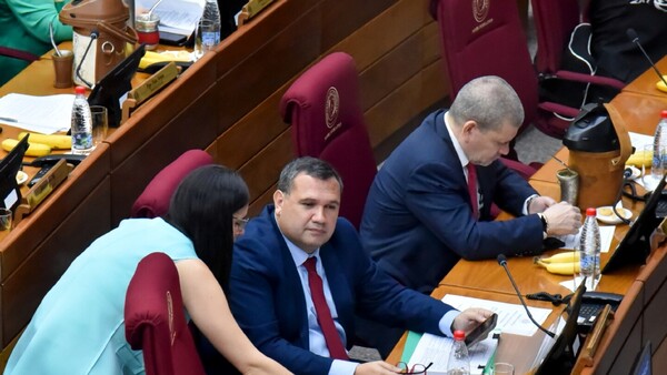 Hay desacuerdos en cartismo sobre ley de protección y hoy se posterga