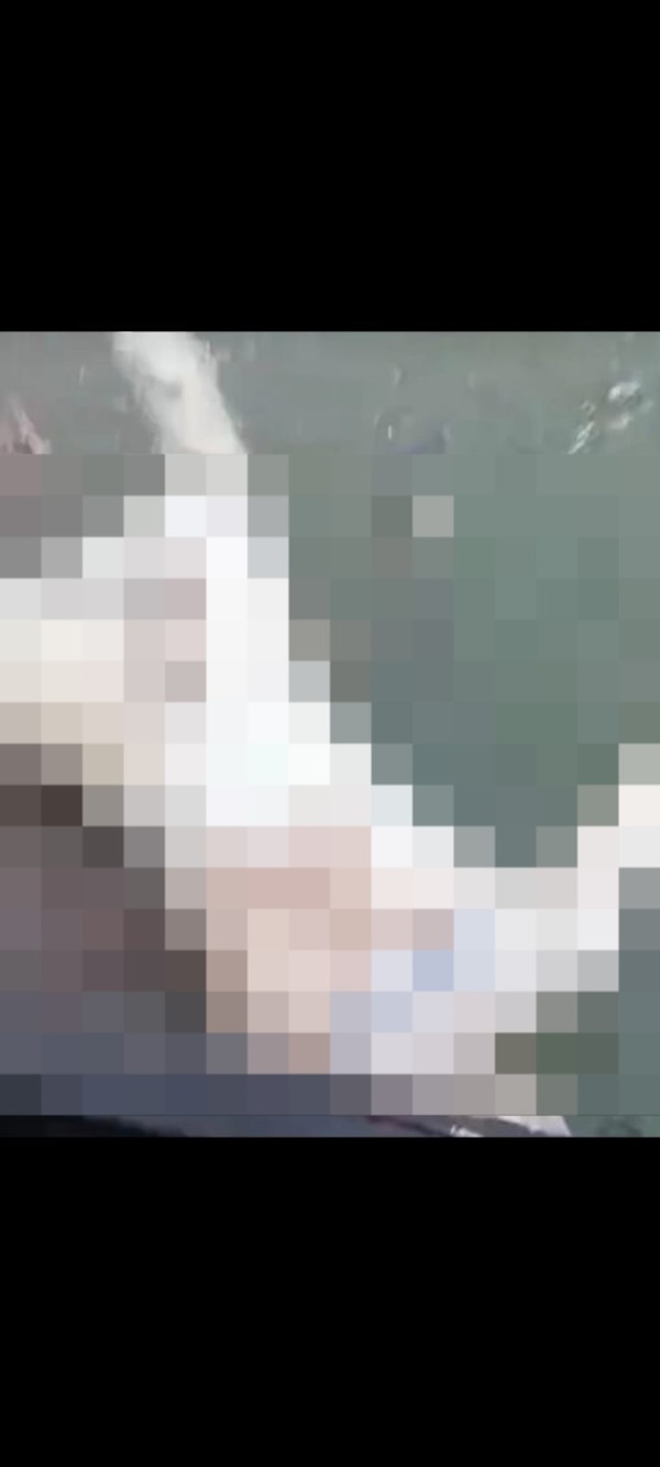 Encuentran otro cuerpo flotando en el río Paraná, en Presidente Franco - ADN Digital