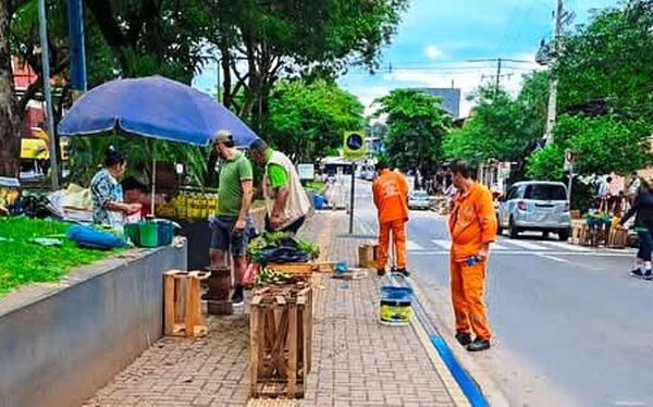 "Desalojan" a vendedora de yuyos de la Avda. Humaitá •