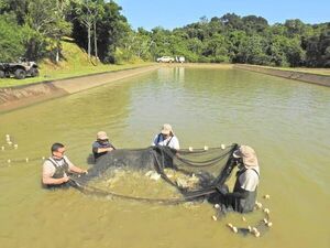 La piscicultura podría ser una alternativa atractiva para los productores