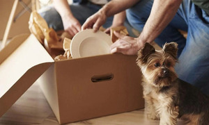 Nueva ley en México pone fin a la discriminación en vivienda: ya no podrán rechazar a familias con hijos o mascotas - OviedoPress