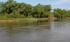 Hallaron otro cadáver en el Paraná: víctima es un brasileño que fue ejecutado a tiros – Prensa 5