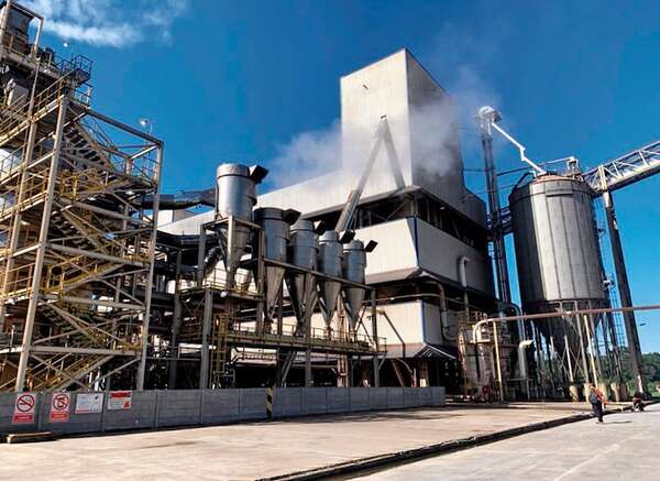 Procesamiento de soja ya supera todo lo logrado en el 2024 - ABC Rural - ABC Color