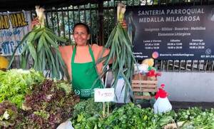 Más de 13.000 productores generan ingresos sostenibles