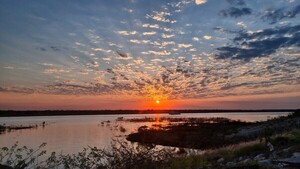 Río Paraguay: Baja crítica obligaría a reducir cargas al 50% de la capacidad de embarcaciones, advierten