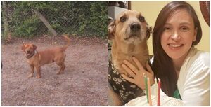 Popular / (VIDEO) Pabla Thomen y una ingueroviable historia: ¿reencarnó Chiruzo?