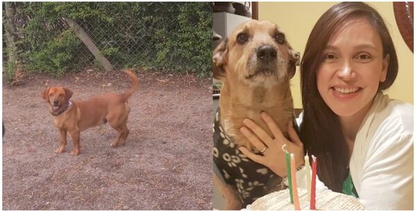 Popular / (VIDEO) Pabla Thomen y una ingueroviable historia: ¿reencarnó Chiruzo?