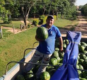 Altos se destaca por el crecimiento de la producción de sandía - ABC Rural - ABC Color