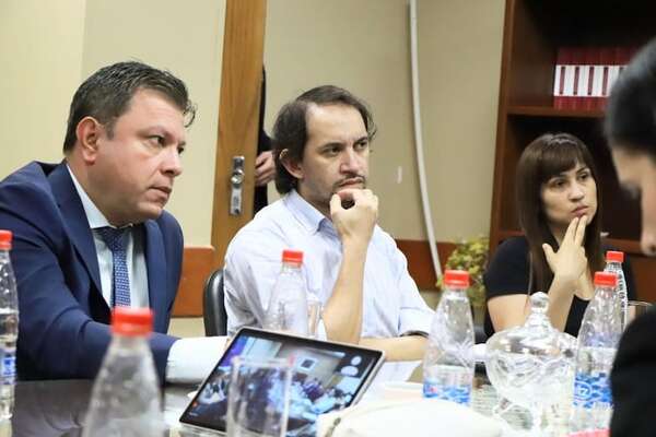 SPP pide al cartismo “dejar de lado las excusas” y priorizar ley de protección - Política - ABC Color