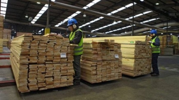 Exportaciones forestales alcanzan su punto más alto del año, con creciente demanda de productos industrializados - ADN Digital