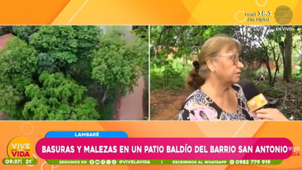 Lambaré: Vecinos piden limpieza ante alerta de criaderos de dengue
