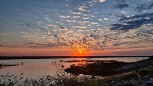 Río Paraguay en nivel crítico: carga fluvial podría reducirse al 50%
