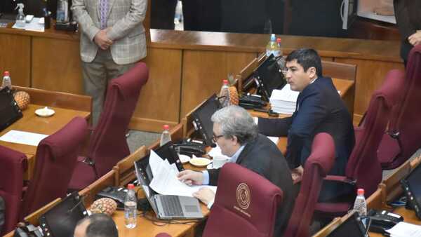 Filizzola cuestiona uso de fondos del IPS en negocios de un banco ligado a Peña