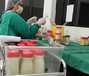 Diputados aprobaron proyecto de ley que crea una red de bancos de leche humana - trece