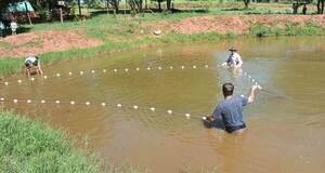 Más de 1.000 millones de guaraníes ya genera la piscicultura en las colonias