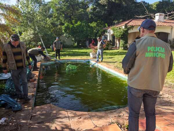 Se intensifican controles y notificaciones a propietarios de viviendas y baldíos abandonados