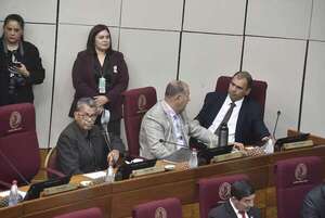 Pipo fue electo como sustituto en el Jurado de Enjuiciamiento de Magistrados  - Política - ABC Color