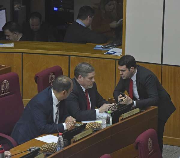 Senado posterga devolver a la Corte el voto secreto y la inamovilidad en feudos judiciales  - Política - ABC Color