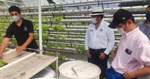 La Nación / Senave posterga temporalmente registro obligatorio de cinco rubros frutihortícolas