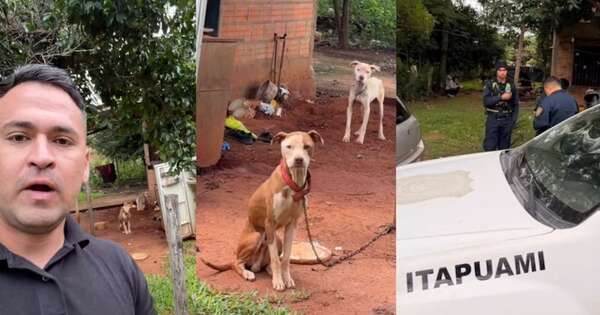 La Nación / Rescatan a animales víctimas de crueldad