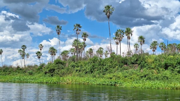 Ecopantanal impulsa la educación ambiental y la prevención de incendios en el corazón del Chaco