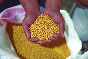 Récord de procesamiento de oleaginosas en 2025