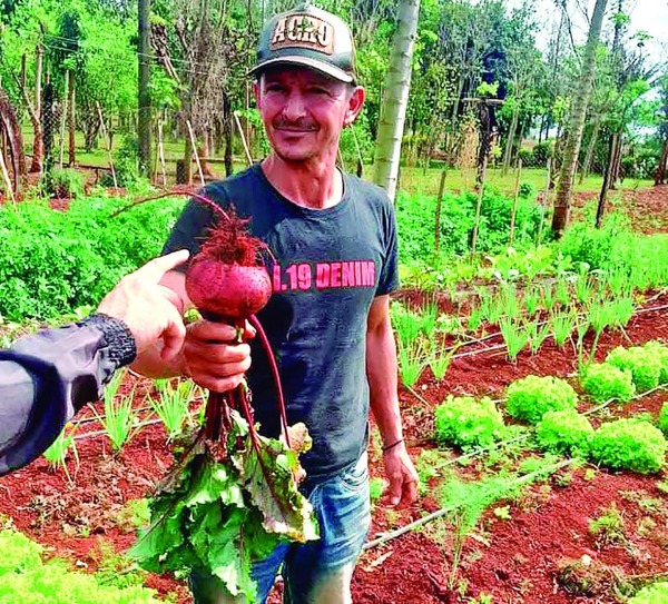 Agricultura Familiar: de subsistencia a la rentabilidad en el campo