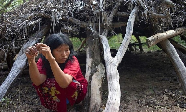 “Tamucode”, el cómic que denuncia la tragedia invisible del Chaco - OviedoPress