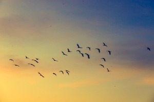 Lluvias ligeras con descenso en las máximas hoy