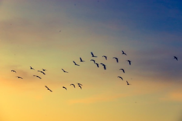 Lluvias ligeras con descenso en las máximas hoy
