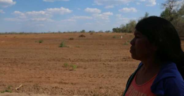 La Nación / La voz y el arte de los pueblos indígenas del Paraguay resonarán en España