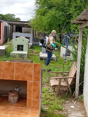 SENEPA prepara operativo especial por el Día de Todos los Santos y de los Fieles Difuntos - Concepción al Día