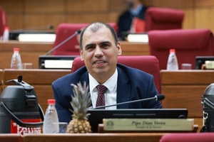 El Senado elige a “Pipo” Díaz Verón como reemplazo de Yamy Nal en el JEM; el cartismo mantiene su cupo