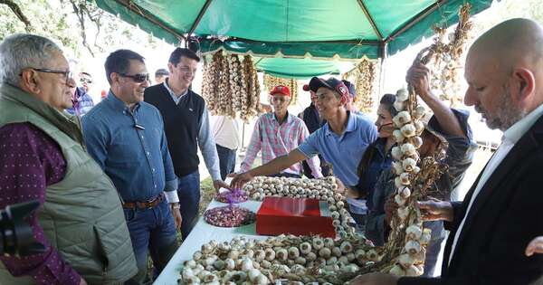 La Nación / General Artigas celebró su primera fiesta del ajo para destacar producción local