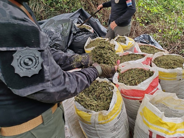 Nuevo golpe a narcos del norte: más de 8 toneladas de marihuana fuera de circulación - Concepción al Día