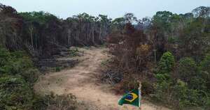 La Nación / La Amazonía brasileña registra la menor área deforestada desde 2014