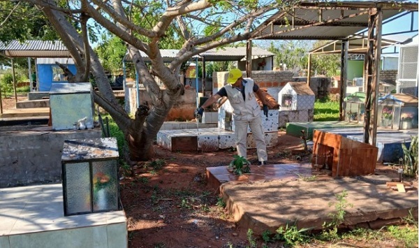 SENEPA lanza operativo nacional por Fieles Difuntos