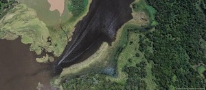 Brasil: Amazonía registra menor área deforestada desde 2014 - ADN Digital