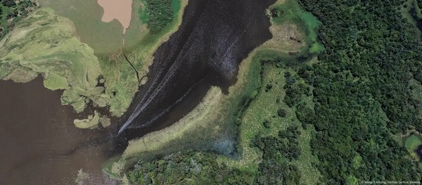 Brasil: Amazonía registra menor área deforestada desde 2014 - ADN Digital